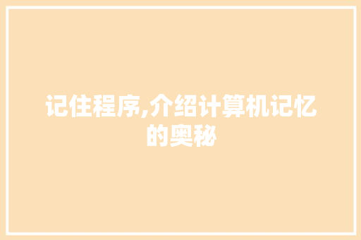 记住程序,介绍计算机记忆的奥秘 必应SEO