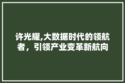 许光耀,大数据时代的领航者，引领产业变革新航向 GoogleSEO