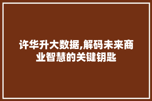 许华升大数据,解码未来商业智慧的关键钥匙 GoogleSEO