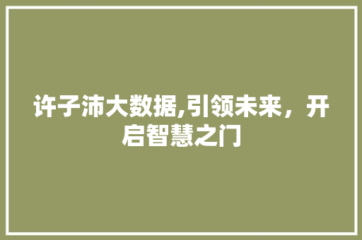 许子沛大数据,引领未来，开启智慧之门 神马SEO