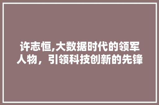 许志恒,大数据时代的领军人物，引领科技创新的先锋 必应SEO