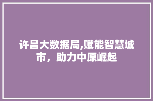 许昌大数据局,赋能智慧城市，助力中原崛起 百度SEO