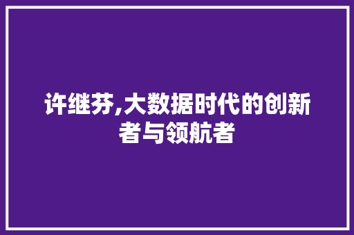 许继芬,大数据时代的创新者与领航者 百度SEO