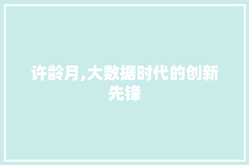 许龄月,大数据时代的创新先锋 搜狗SEO