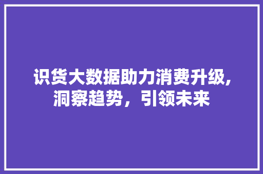 识货大数据助力消费升级,洞察趋势，引领未来 必应SEO