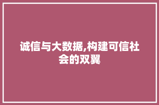 诚信与大数据,构建可信社会的双翼 神马SEO