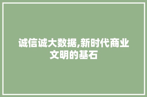 诚信诚大数据,新时代商业文明的基石 必应SEO