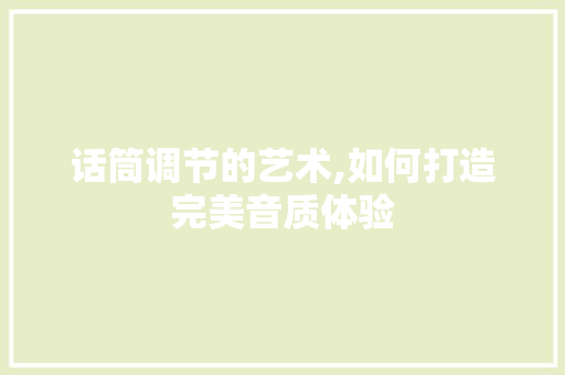 话筒调节的艺术,如何打造完美音质体验 必应SEO
