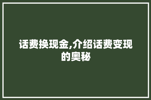 话费换现金,介绍话费变现的奥秘 神马SEO
