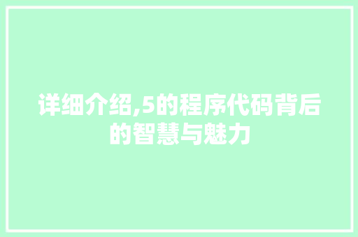 详细介绍,5的程序代码背后的智慧与魅力 搜狗SEO