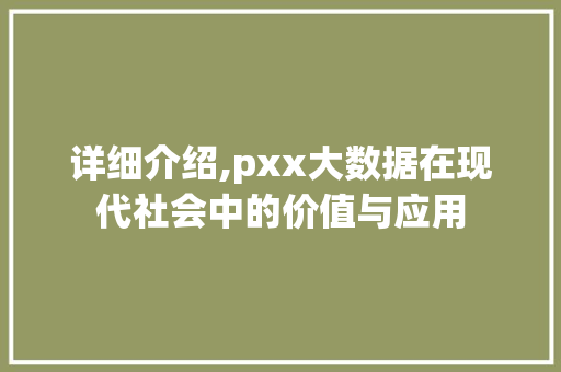 详细介绍,pxx大数据在现代社会中的价值与应用 GoogleSEO
