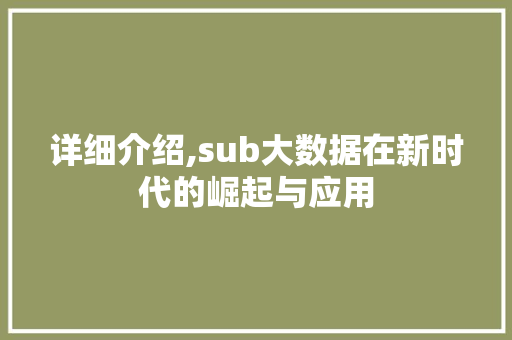 详细介绍,sub大数据在新时代的崛起与应用 GoogleSEO