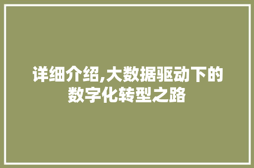 详细介绍,大数据驱动下的数字化转型之路 必应SEO