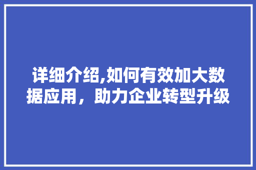 详细介绍,如何有效加大数据应用，助力企业转型升级 必应SEO