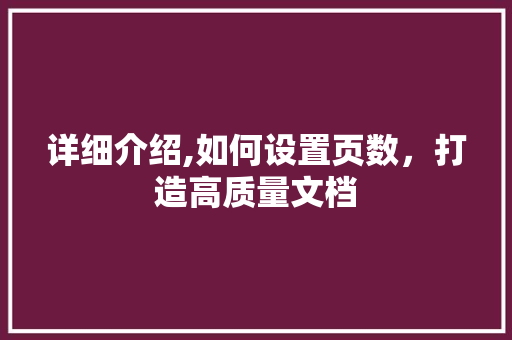 详细介绍,如何设置页数，打造高质量文档