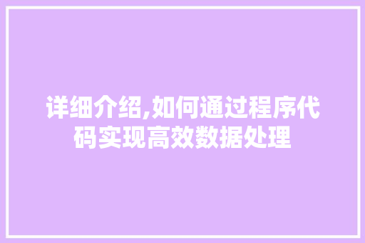 详细介绍,如何通过程序代码实现高效数据处理 GoogleSEO
