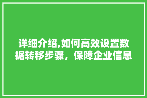 详细介绍,如何高效设置数据转移步骤，保障企业信息安全 搜狗SEO