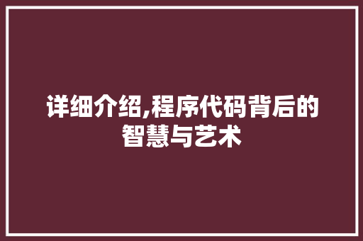 详细介绍,程序代码背后的智慧与艺术 神马SEO