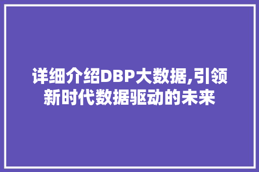 详细介绍DBP大数据,引领新时代数据驱动的未来 神马SEO