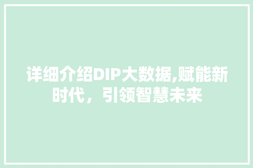 详细介绍DIP大数据,赋能新时代，引领智慧未来 搜狗SEO
