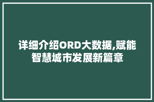 详细介绍ORD大数据,赋能智慧城市发展新篇章 GoogleSEO