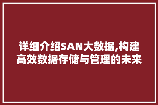 详细介绍SAN大数据,构建高效数据存储与管理的未来 必应SEO