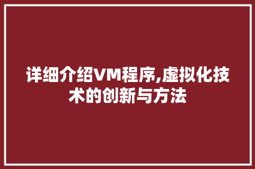 详细介绍VM程序,虚拟化技术的创新与方法 GoogleSEO