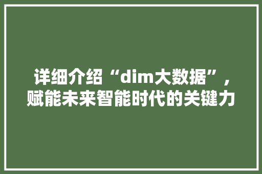 详细介绍“dim大数据”,赋能未来智能时代的关键力量 搜狗SEO