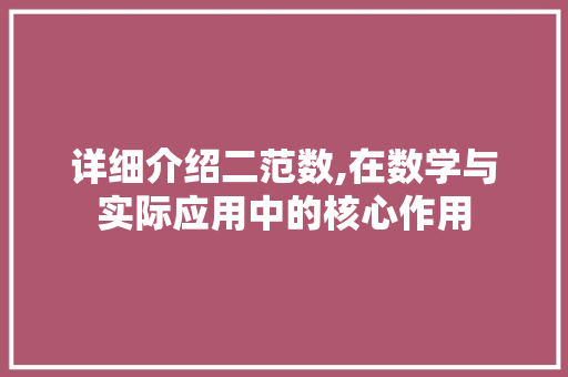 详细介绍二范数,在数学与实际应用中的核心作用 GoogleSEO