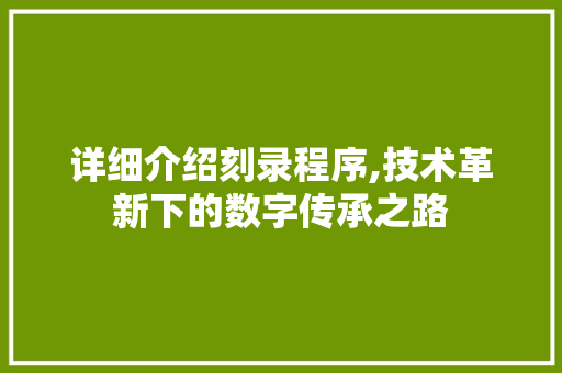 详细介绍刻录程序,技术革新下的数字传承之路 必应SEO