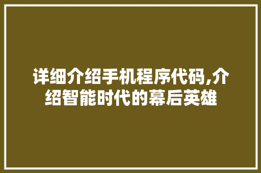 详细介绍手机程序代码,介绍智能时代的幕后英雄 百度SEO