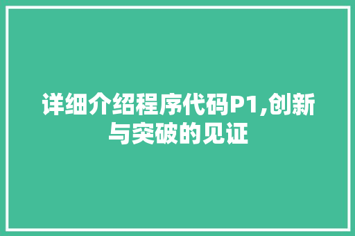 详细介绍程序代码P1,创新与突破的见证 神马SEO