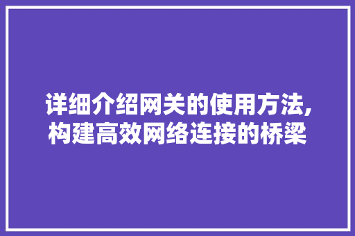 详细介绍网关的使用方法,构建高效网络连接的桥梁 GoogleSEO
