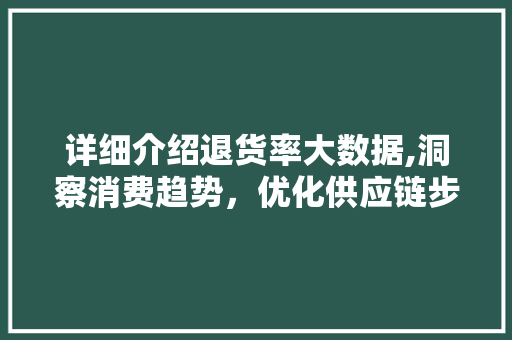 详细介绍退货率大数据,洞察消费趋势，优化供应链步骤 必应SEO