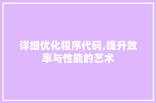 详细优化程序代码,提升效率与性能的艺术 神马SEO