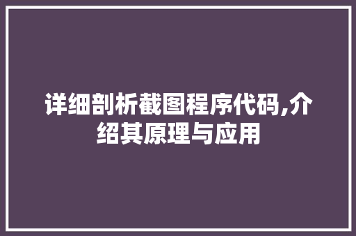 详细剖析截图程序代码,介绍其原理与应用 搜狗SEO