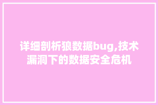 详细剖析狼数据bug,技术漏洞下的数据安全危机 必应SEO