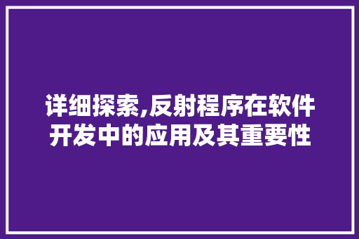 详细探索,反射程序在软件开发中的应用及其重要性 必应SEO