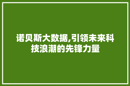 诺贝斯大数据,引领未来科技浪潮的先锋力量 搜狗SEO