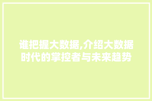 谁把握大数据,介绍大数据时代的掌控者与未来趋势 百度SEO