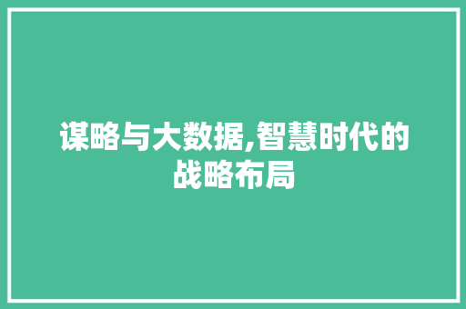 谋略与大数据,智慧时代的战略布局 百度SEO