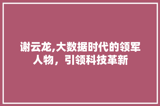 谢云龙,大数据时代的领军人物，引领科技革新 必应SEO