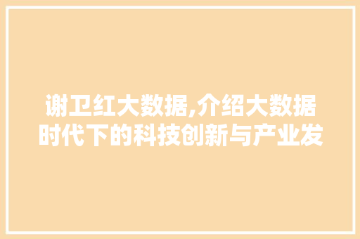 谢卫红大数据,介绍大数据时代下的科技创新与产业发展 神马SEO