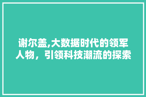 谢尔盖,大数据时代的领军人物，引领科技潮流的探索者 GoogleSEO