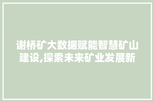 谢桥矿大数据赋能智慧矿山建设,探索未来矿业发展新路径 神马SEO