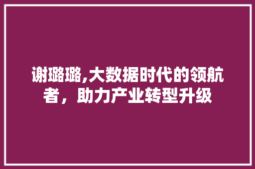 谢璐璐,大数据时代的领航者，助力产业转型升级 GoogleSEO