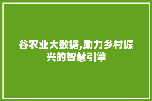 谷农业大数据,助力乡村振兴的智慧引擎