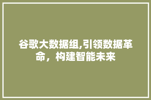 谷歌大数据组,引领数据革命，构建智能未来 必应SEO