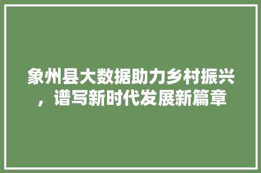 象州县大数据助力乡村振兴，谱写新时代发展新篇章 搜狗SEO