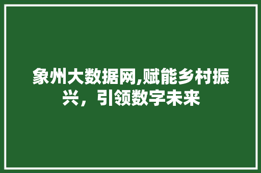 象州大数据网,赋能乡村振兴，引领数字未来 GoogleSEO